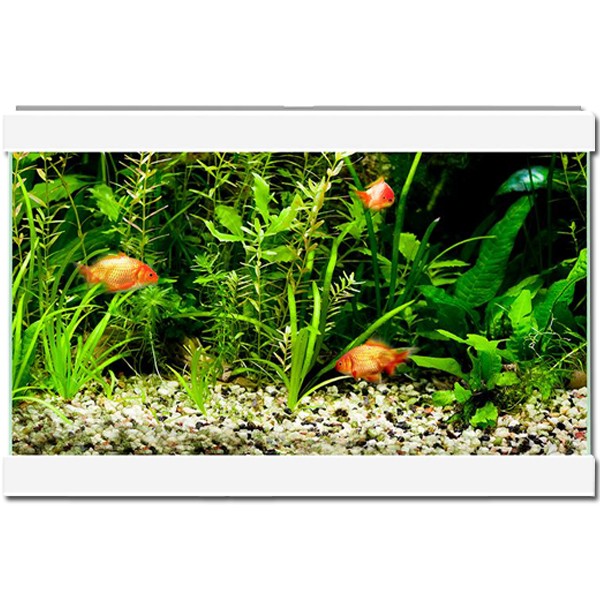 Ciano Aqua 20 LED White Aquarium 2 Ciano Aqua 20 LED White Aquarium - Image 2