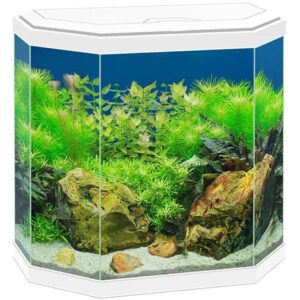 Ciano Aqua 30 White LED Aquarium