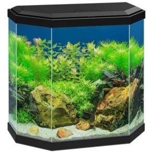Ciano Aqua 30 Black LED Aquarium