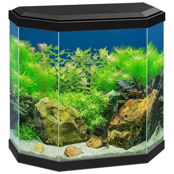 Ciano Aqua 30 Black LED Aquarium 1 Ciano Aqua 30 Black LED Aquarium