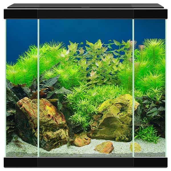 Ciano Aqua 30 Black LED Aquarium 2 Ciano Aqua 30 Black LED Aquarium - Image 2