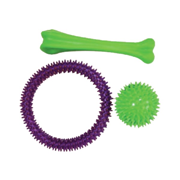 Good Boy Assorted Chew Dog Toy 1 Good Boy Assorted Chew Dog Toy
