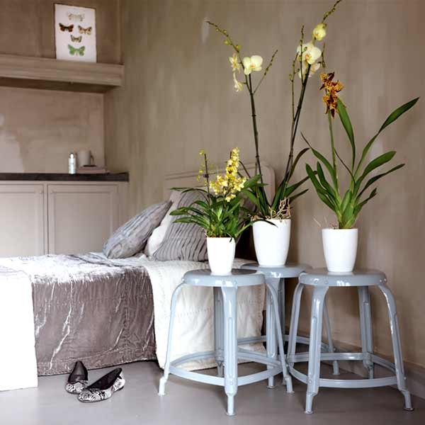 Elho Brussels Diamond Orchid High White 13cm Flower Pot 4 Elho Brussels Diamond Orchid High White 13cm Flower Pot - Image 4