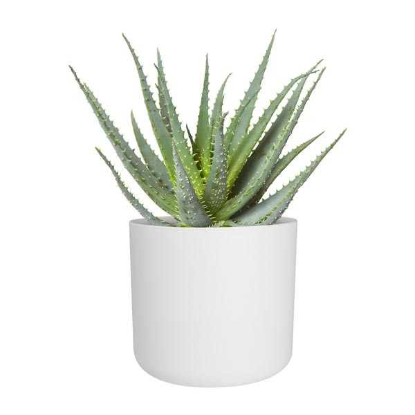 Elho B.for Soft Round White 14cm Flower Pot 3 Elho B.for Soft Round White 14cm Flower Pot - Image 3