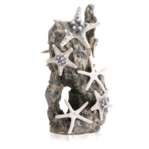 biOrb Sea Stars on Rock Ornament
