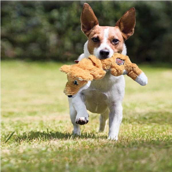 KONG Scrunch Knots Squirrel Medium/Large Dog Toy 2 KONG Scrunch Knots Squirrel Medium/Large Dog Toy - Image 2