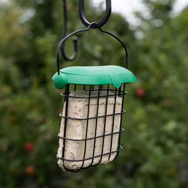 Gardman Wild Bird Care Flip Top Suet Feast Feeder 2 Gardman Wild Bird Care Flip Top Suet Feast Feeder - Image 2