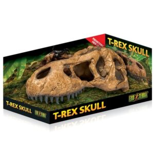 Exo Terra T Rex Skull