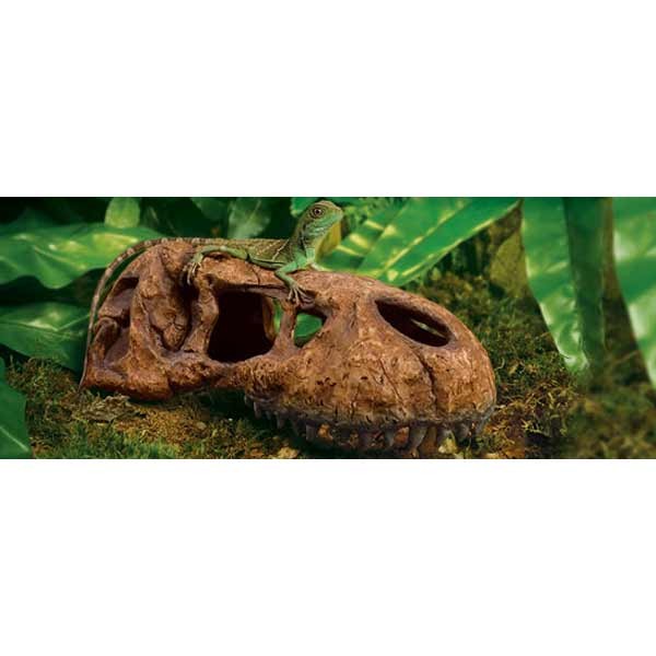Exo Terra T Rex Skull 3 Exo Terra T Rex Skull - Image 3
