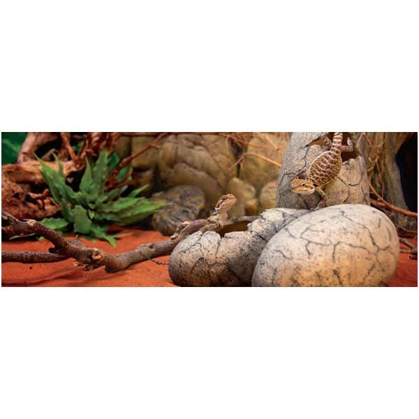 Exo Terra Dinosaur Eggs Fossil Hide Out 2 Exo Terra Dinosaur Eggs Fossil Hide Out - Image 2