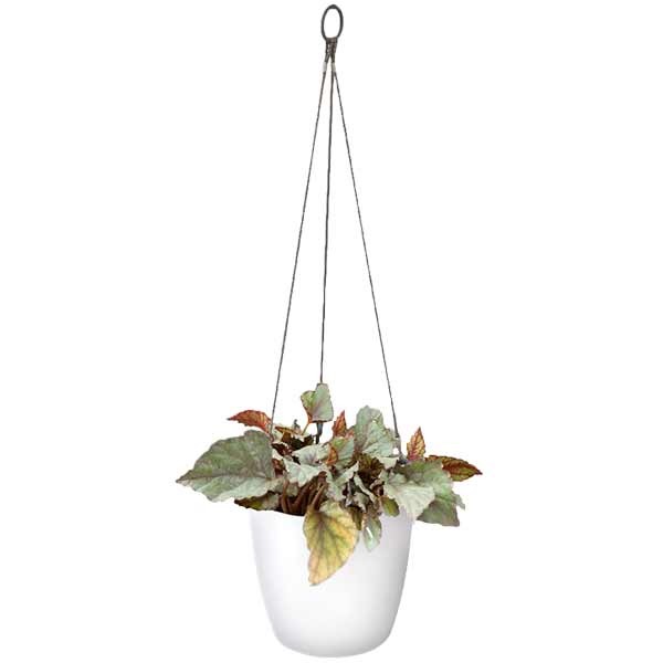 Elho Brussels Hanging Basket White 18cm Flower Pot 3 Elho Brussels Hanging Basket White 18cm Flower Pot - Image 3