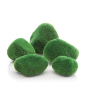 biOrb Moss Pebble Set