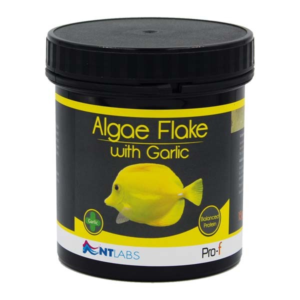 NT Labs Pro-f Algae Flake with Garlic for Marine Fish 15g 1 NT Labs Pro-f Algae Flake with Garlic for Marine Fish 15g