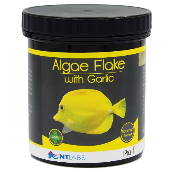 NT Labs Algae Flake With Garlic 30g 1 NT Labs Algae Flake With Garlic 30g