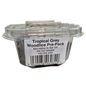 Instore Tropical Grey Woodlice Pre-Pack