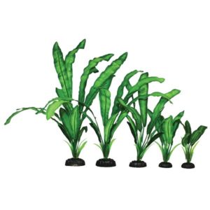 Hugo Kamishi Echinodorus Green Silk Aquascaping Aquarium Plant Single 13cm