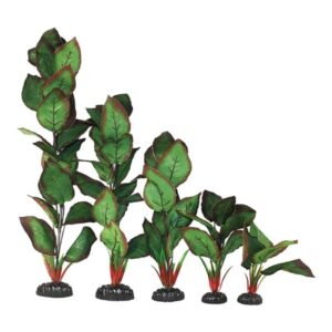 Hugo Kamishi Cryptocorne Green / Red Silk Aquascaping Aquarium Plant Single 13cm
