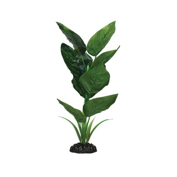 Hugo Kamishi Anubias Green Silk Aquascaping Aquarium Plant Single 13cm 1 Hugo Kamishi Anubias Green Silk Aquascaping Aquarium Plant Single 13cm