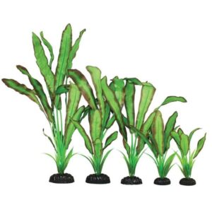 Hugo Kamishi Echinodorus Green / Red Silk Aquascaping Aquarium Plant Single 20cm