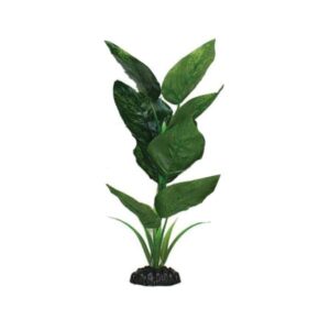 Hugo Kamishi Anubias Green Silk Aquascaping Aquarium Plant Single 20cm