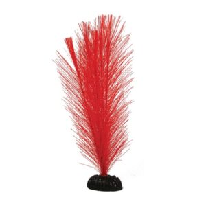 Hugo Kamishi Fern Red Silk Aquascaping Aquarium Plant Single 20cm