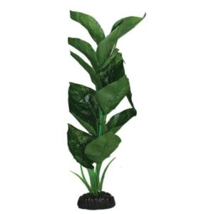 Hugo Kamishi Anubias Green Silk Aquascaping Aquarium Plant Single 30cm
