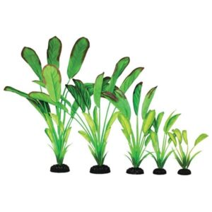 Hugo Kamishi Cryptocorne Light Green Silk Aquascaping Aquarium Plant Single 40cm