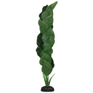Hugo Kamishi Anubias Green Silk Aquascaping Aquarium Plant Single 40cm