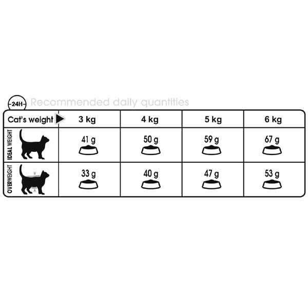 Royal Canin Hair & Skin Care Adult 400g Dry Cat Food 3 Royal Canin Hair & Skin Care Adult 400g Dry Cat Food - Image 3