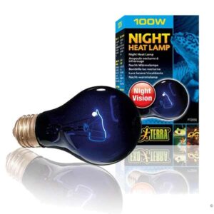 Exo Terra Night Heat Lamp 100w