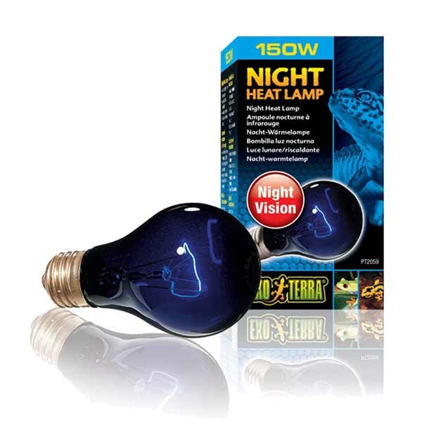 Exo Terra Night Heat Lamp 150w 1 Exo Terra Night Heat Lamp 150w