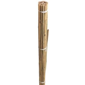 Grow It Bamboo Canes Pre-Bulk 1.5m 20 pack
