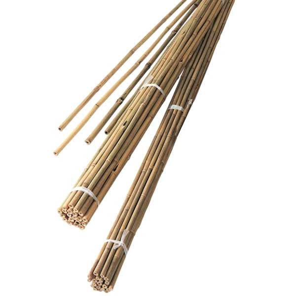 Grow it Bamboo Canes Pre-Bulk 2.1m 10 pack 2 Grow it Bamboo Canes Pre-Bulk 2.1m 10 pack - Image 2