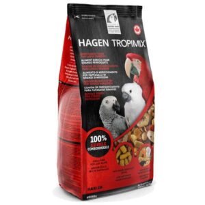 Hari Tropican