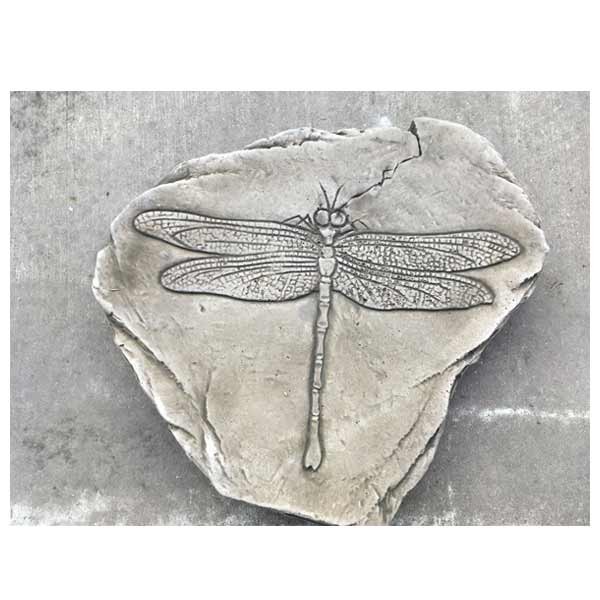 Fossilized Dragonfly Stepping Stone 41cm 1 Fossilized Dragonfly Stepping Stone 41cm