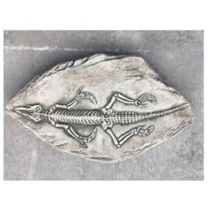 Fossilized Crocodile Stepping Stone 40cm