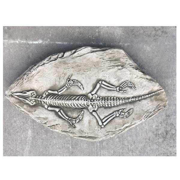 Fossilized Crocodile Stepping Stone 40cm 1 Fossilized Crocodile Stepping Stone 40cm