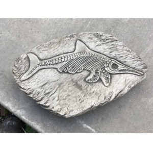Fossilized Fish Stepping Stone 42cm