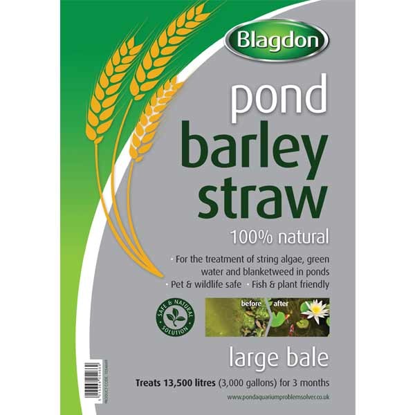 Blagdon Pond Barley Straw Large Bale 1kg 2 Blagdon Pond Barley Straw Large Bale 1kg - Image 2