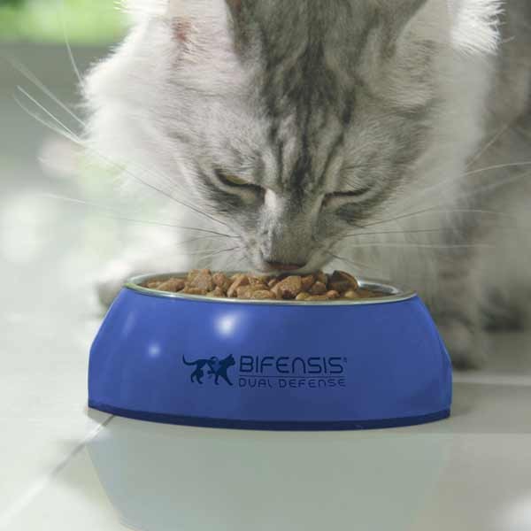 Purina One Chicken & Wheat Adult 3kg Dry Cat Food 4 Purina One Chicken & Wheat Adult 3kg Dry Cat Food - Image 4