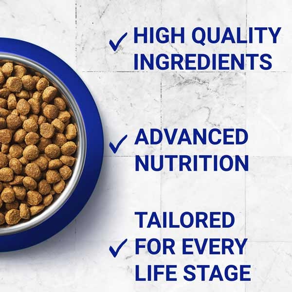 Purina One Chicken & Wheat Adult 6kg Dry Cat Food 2 Purina One Chicken & Wheat Adult 6kg Dry Cat Food - Image 2