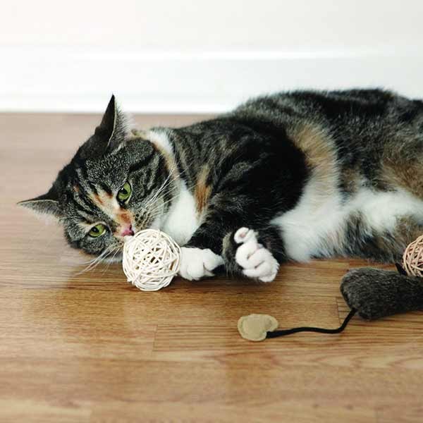 Rosewood Jolly Moggy Silvervine Rattan Ball 2 Pack Cat Toy 2 Rosewood Jolly Moggy Silvervine Rattan Ball 2 Pack Cat Toy - Image 2