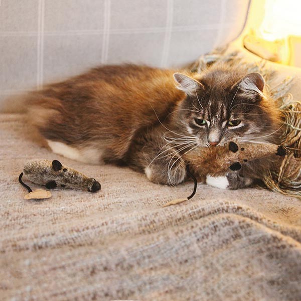 Rosewood Jolly Moggy Silvervine Mice 2 Pack Cat Toy 2 Rosewood Jolly Moggy Silvervine Mice 2 Pack Cat Toy - Image 2