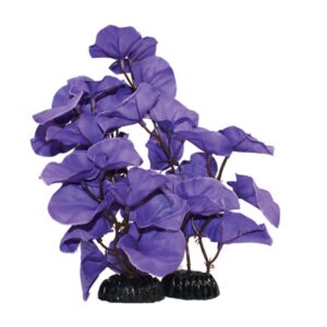 Hugo Kamishi Lily Blue Silk Aquascaping Aquarium Plant Single 13cm