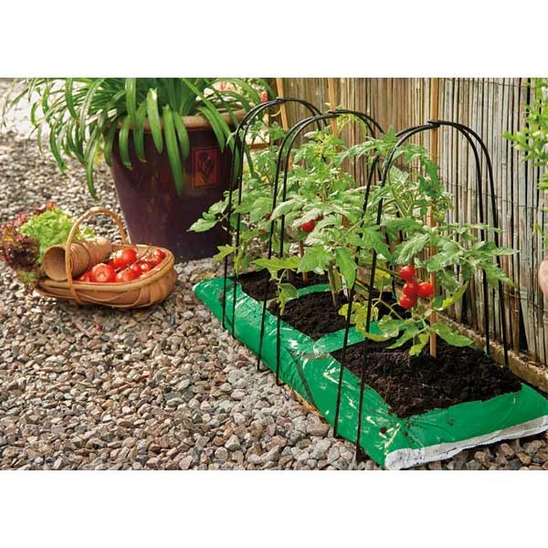 Grow it Grow-Bag Cane Frame 3 Pack 2 Grow it Grow-Bag Cane Frame 3 Pack - Image 2