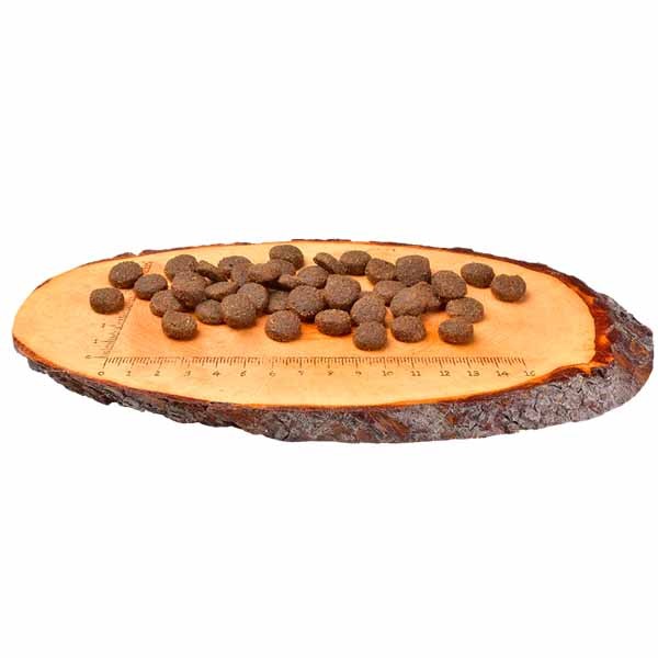 Carnilove Salmon & Turkey Large Breed Puppy 1.5kg Dry Dog Food 2 Carnilove Salmon & Turkey Large Breed Puppy 1.5kg Dry Dog Food - Image 2