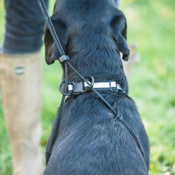 Mikki Anti-Pull Harness Large 4 Mikki Anti-Pull Harness Large - Image 4