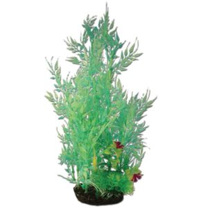 Hugo Kamishi Plant Mix 1 35cm