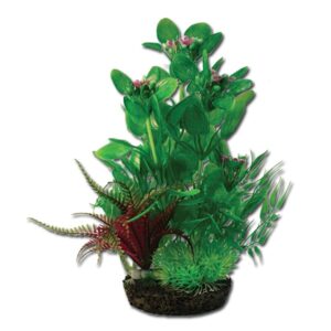 Hugo Kamishi Plant Mix 8 28cm