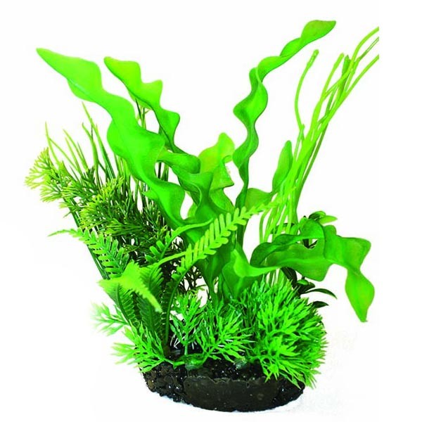 Hugo Kamishi Plant Mix 4 22cm 1 Hugo Kamishi Plant Mix 4 22cm